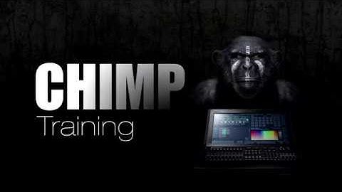 About the Infinity Chimp Training (English Subtitles)