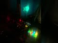 LIVE ACT. uncompromising electro