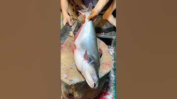 Master the Art of Big Pangas Fish Cutting | Quick & Easy Tutorial #shorts #fishing #fish #food
