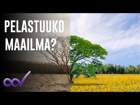 Video: Oliko norjalainen puu yksittäinen?