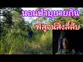 นอนป่าบุยายถินคนเดียว1คืน พิสูจน์เรื่องลี้ลับ ป่าผีเฮี้ยน ตามคำขอ FC  ep.43