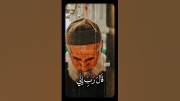 🥺قَالَ رَبِّ إِنِّی ظَلَمۡتُ نَفۡسِی🥺 #محمود_الشحات_أنور #تلاوه_خاشعه #القران_الكريم #foryoupage