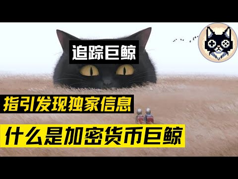 衍生品&電台- 「16」什麼是加密貨幣巨鯨，如何才能發現巨鯨？比特幣 以太幣 以太坊 Solana SOL #比特幣 #以太幣 #以太坊 #Solana #SOL #巨鲸