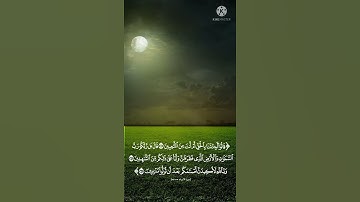سورة الأنبياء القارئ اسلام صبحي#shots