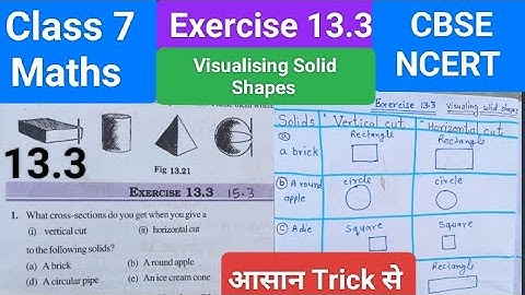 Ex. 13.3 Chapter 13 Visualising Solid Shapes । New NCERT Maths Class 7। Class 7 Maths Chapter 13.3