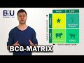 Bcg matrix growthshare matrix explained  b2u  business to you