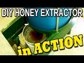 DIY honey EXTRACTOR in action. Homemade electric four frame spinner beekeeping 101