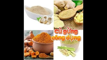 Củ gừng và công dụng