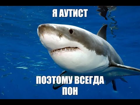 Акула пон мем фото