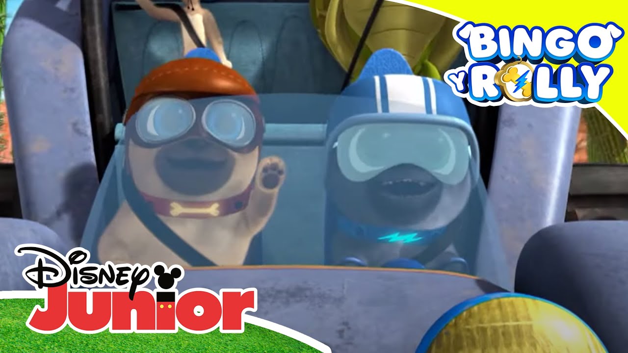 Bingo y Rolly: Conducir así siempre es fenomenal | Disney Junior ...