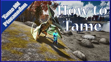 How to Tame a Pteranodon Ark Survival Evolved