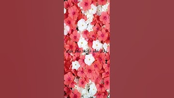 سورة الزمر الآية (73) القارئ شريف مصطفى #قرآن