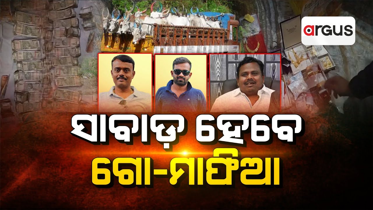 🔴Ajira Bitarka Live | ଆଜିର ବିତର୍କ :ସାବାଡ଼ ହେବେ ଗୋମାଫିଆ | Go Mafia Challan | Police Raid | Argus News