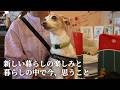 愛犬との新しい暮らしの楽しみと、今思うこと