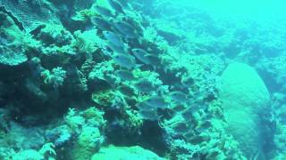 20110502PALAU