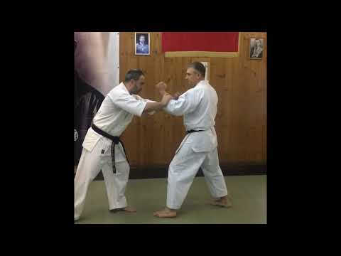 世界キョクシン大山空手 Shihan Aziz Ashrafov。