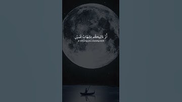 اللهمَّ اجعل القرآن الكريم ربيع قلوبنا ❤