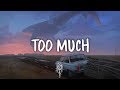 Miniature de la vidéo de la chanson Too Much