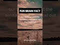 Ever tried tickling yourself its impossible why comment below brainfacts shorts