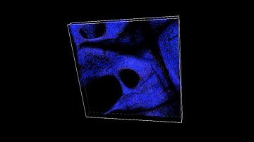 Melt Electrospinning Writing of Highly Ordered Large Volume Scaffold Architectures