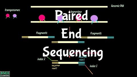 Paired End Sequencing | Paired End Vs Single End Sequencing | Pair End Reads | Single End Reads |