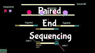Paired End Sequencing Paired End Vs Single End Sequencing Pair End Reads Single End Reads 