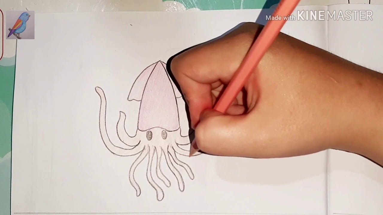 Vẽ 6: Cách Vẽ Con Mực (Rất Dễ) | How To Draw A Cuttle (Very Easy) | Chim  Oanh Channel. - Youtube