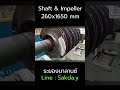 Rayong balance Shaft &amp; Impeller 260x1650 mm 438