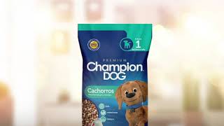 Nuevos Envases Champion Dog | David