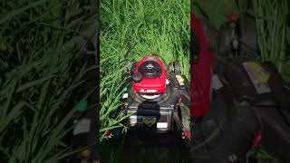 Troy bilt 130XP review Troy bilt