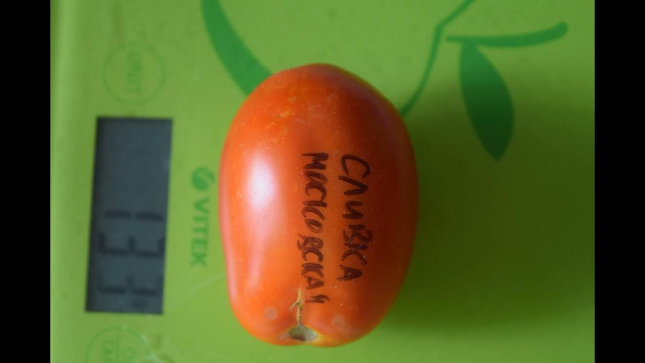 Самый лучший томат в мире 2023г.!Высокоурожайный и сладкий томат сорта ...