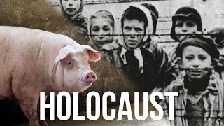 A HOLOCAUST SURVIVOR, Now VEGAN Activist - Is There A Line Between Animal And Human Suffering?