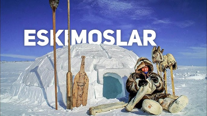 Yosh ayol bilan ormonda jinsiy aloqa Tabiatdagi yalangoch xotinlarning shaxsiy fotosuratlari