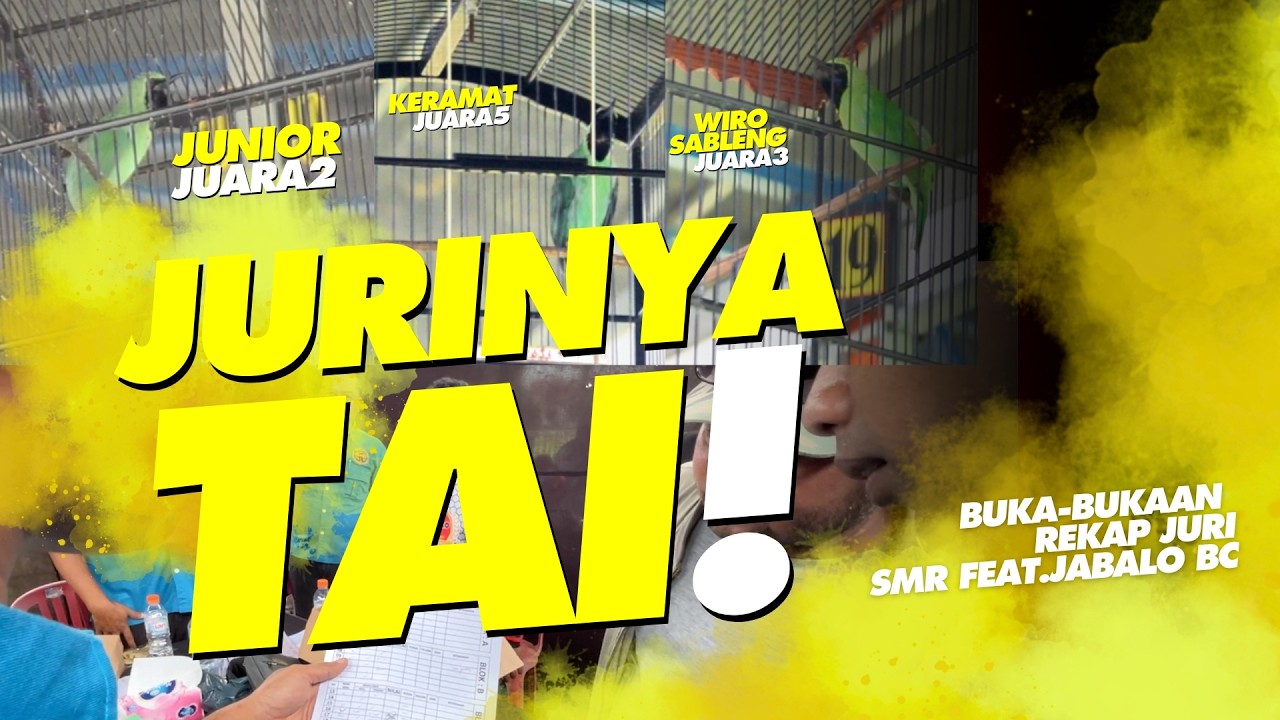 JURINYA TAI🤣🤣🤣Pemain Cucak Ijo PROTES‼️SMR feat. JABALO Bird Club BALI #kicaumania