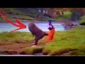 Wow top 3 bear top bear funny moments