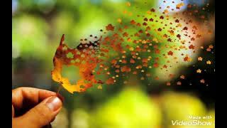 Hui ankh nam par ye dil mushkuraya (Eagle hi fi jhankar song)