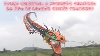 Dança Celestial: A Ascensão Graciosa da Pipa de Dragão Chinês Voando!