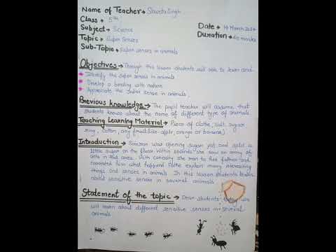 lesson plan of