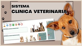 Programa para Clínica Veterinária screenshot 2