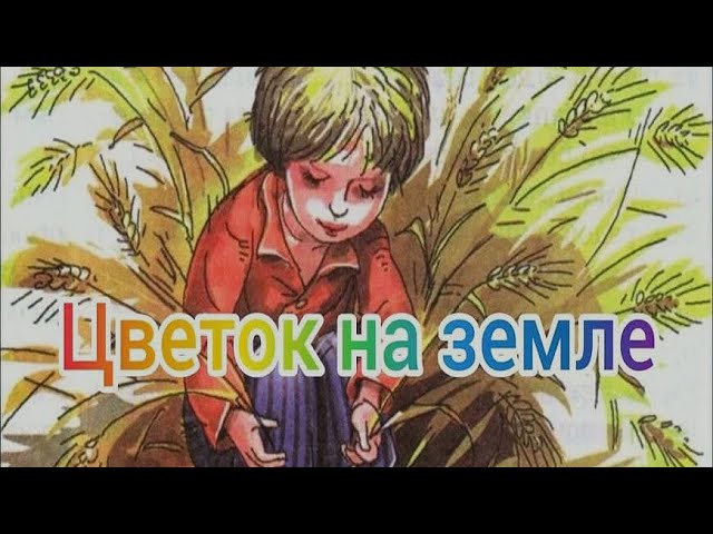 Цветок на земле Платонов рисунок. Сказка цветок на земле Платонов. Платонов цветок на земле Платонов. Скучно афоне жить на свете