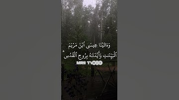ماهر المعيقلي - سورة البقرة ( برواية حفص عن عاصم ) الأية 253