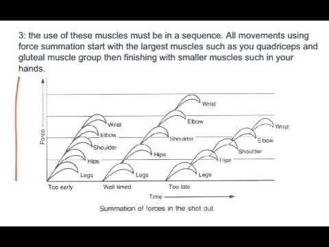 summation of forces