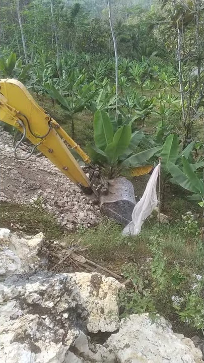 Menanam 'PISANG' Menggunakan excavator ...Mantabb!!!