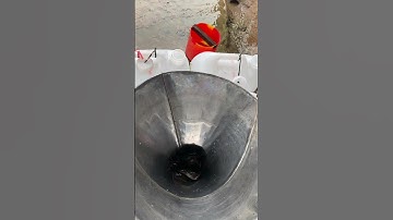 Cá trê vàng rặc giống #cá_giống #trại_cá_giống_út_me 0909770509