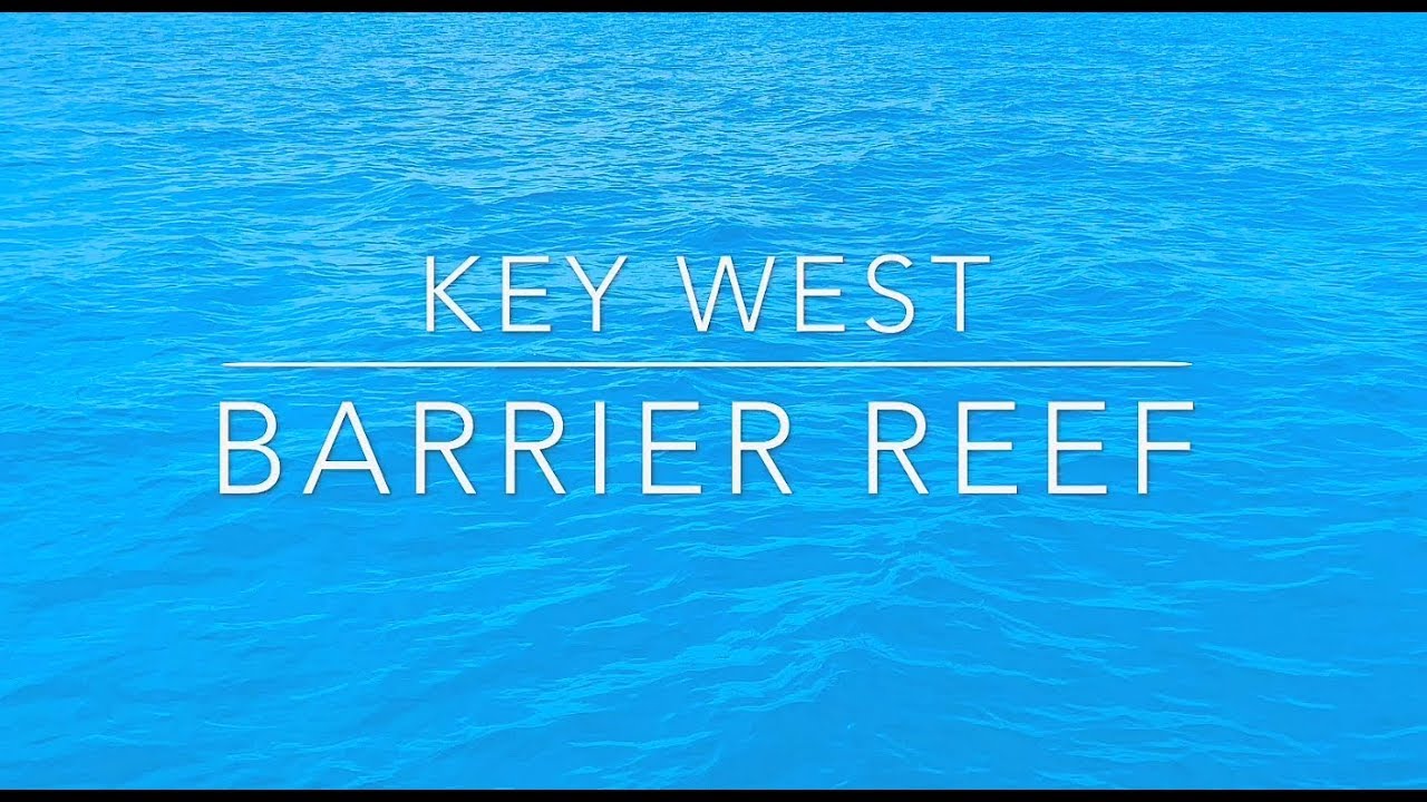 Barrier Reef Snorkeling in Key West with "FURY Key West Snorkeling