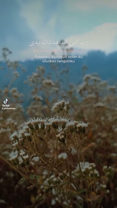 Robbi inni qad madadtu yadi I Islamic Video l Bromo Indonesia