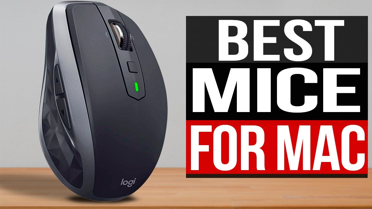 TOP Best Mouse for 2021 -