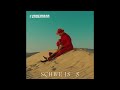 Till Lindemann - Schweiss Version 1 (Ramm&#39;band Pre-Release demo)