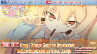 Kimi ga yume wo tsuretekita - Nightcore