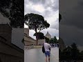 Rome, Eternal City #music #live#song#eternal #city#like#bocelli #rome#titaly#fyp#fy#views#wanderlust